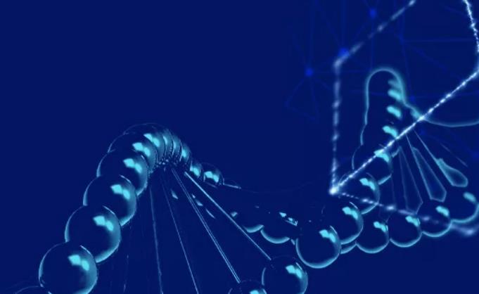 ����Galaxy A25 5G���ж˻��͵�����̱�